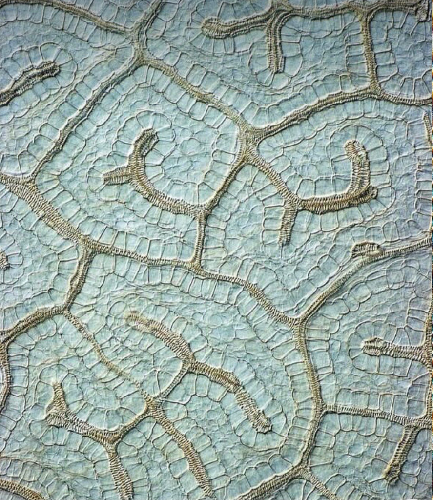 Cellular coral structure   programmatic clustering