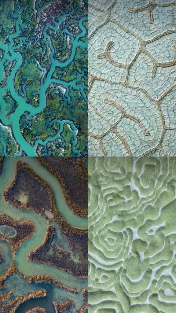 Natural systems collage: river deltas, coral structures, wetlands, cellular textures