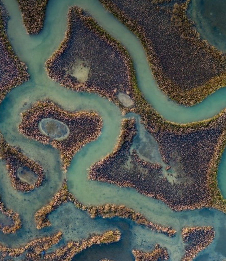 Wetlands aerial   threshold and edge conditions