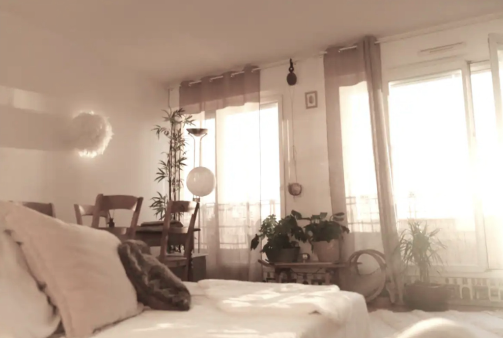 Maison Mimosa   sunlit Paris apartment with bamboo shadows, bedroom and dining area